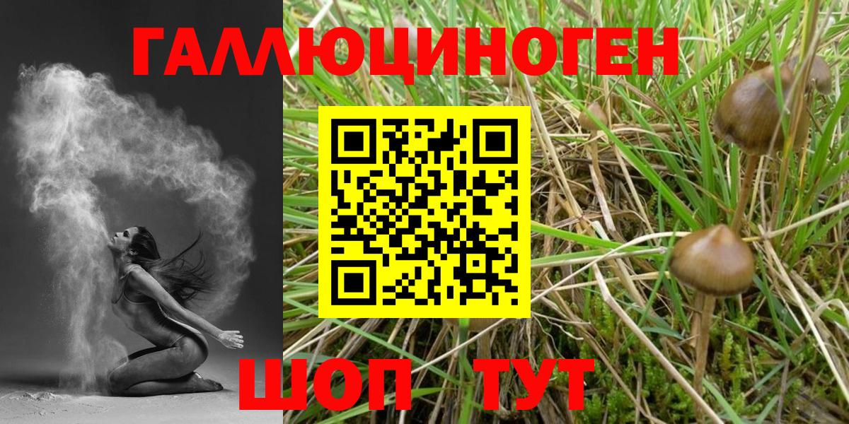 Галлюциногенные грибы Cubensis  Вход с VPN  Топки 